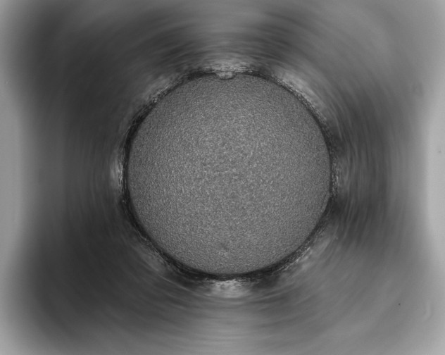 X0000093620309200710221551