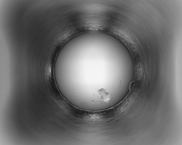 X0000093620310200710221551