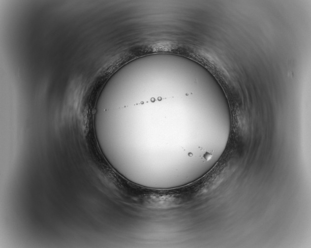 X0000093620311200710221551