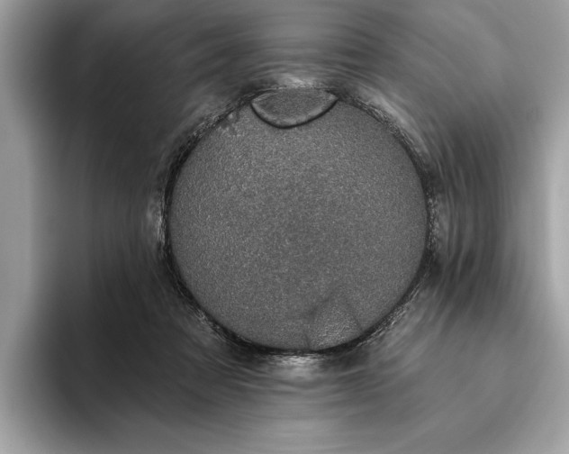 X0000093620313200710221551