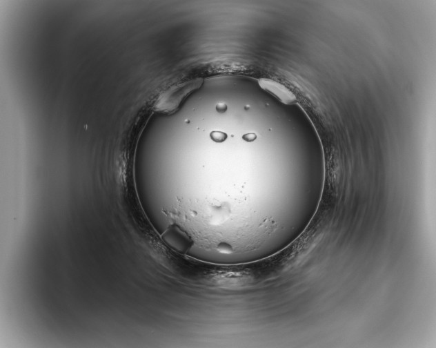 X0000093620315200710221551