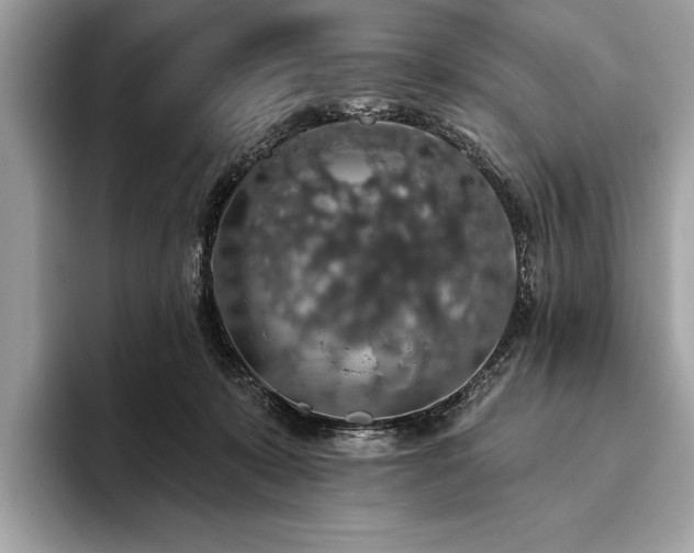 X0000093620319200710221551
