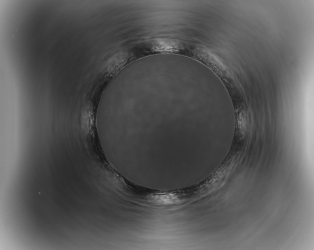 X0000093620322200710221551