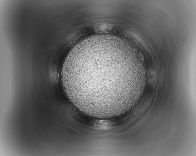 X0000093620324200710221551