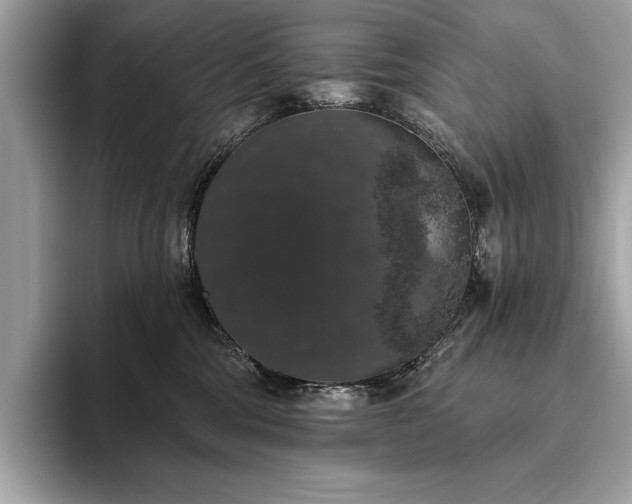 X0000093620330200710221551