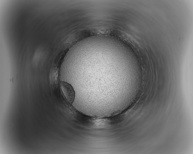 X0000093620336200710221551