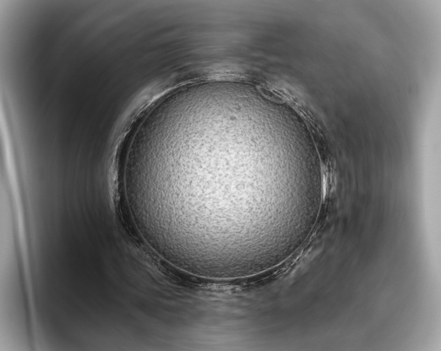 X0000093620339200710221550