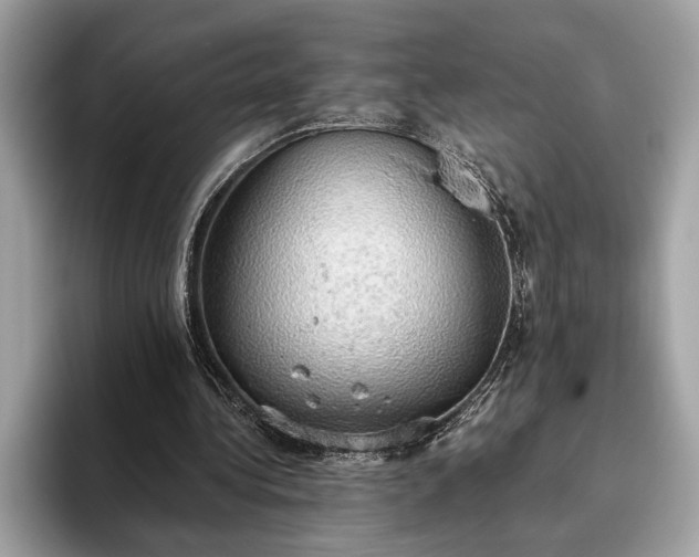 X0000093620340200710221550
