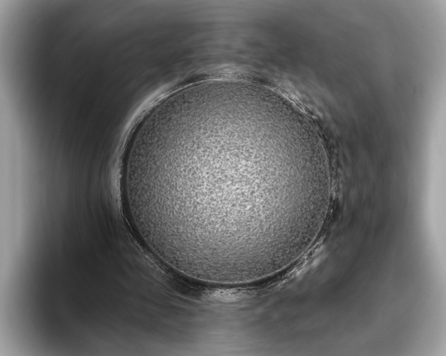 X0000093620341200710221550