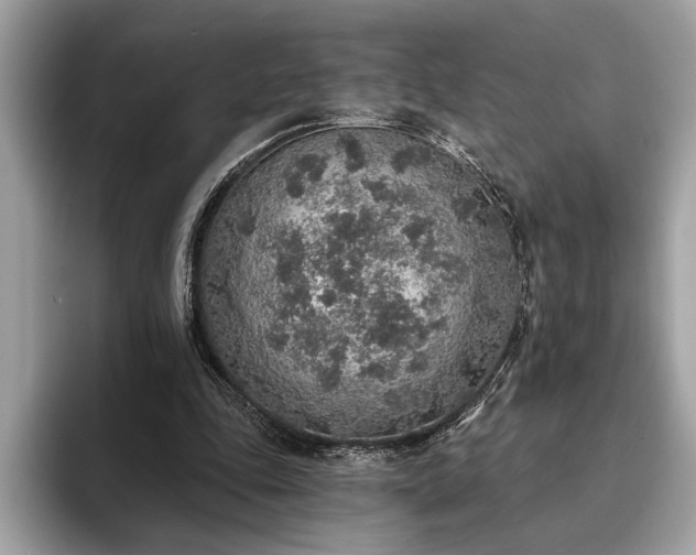 X0000093620343200710221550