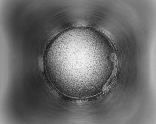 X0000093620345200710221550