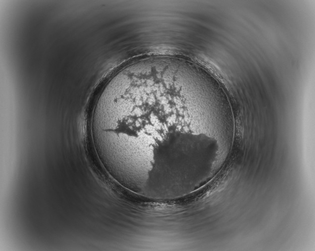 X0000093620347200710221550