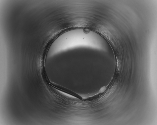 X0000093620348200710221550