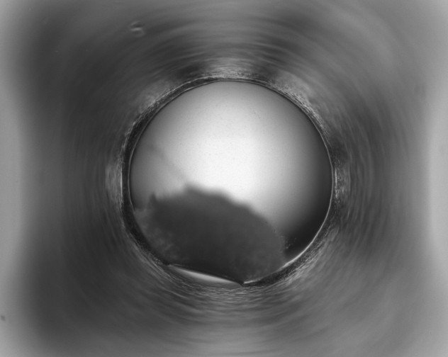 X0000093620349200710221550