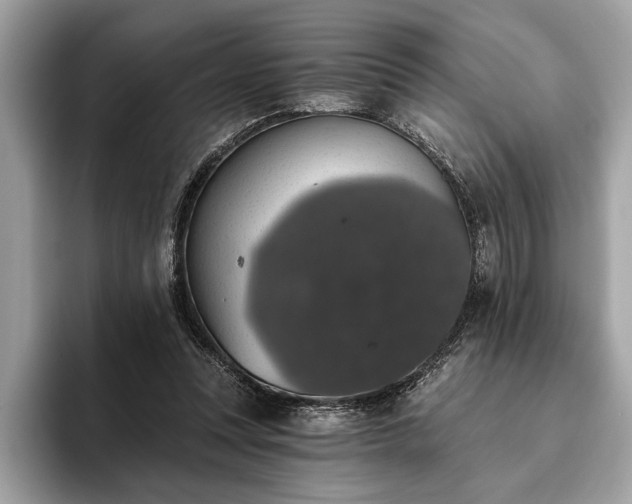 X0000093620351200710221550
