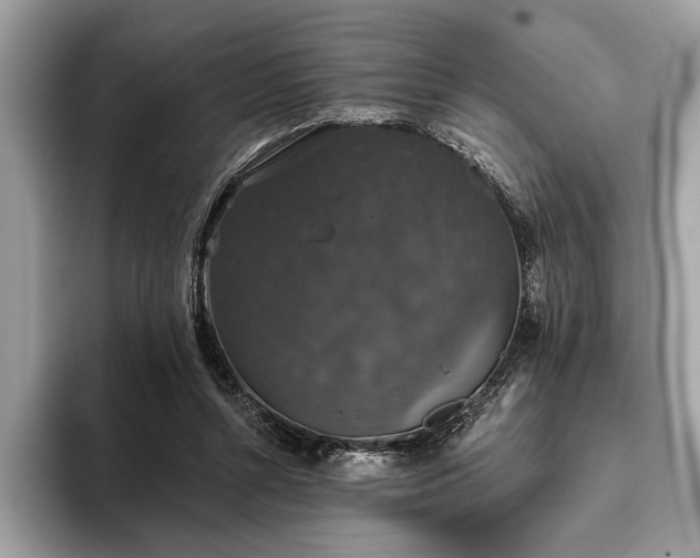 X0000093620352200710221550