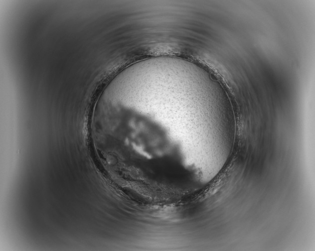 X0000093620353200710221550