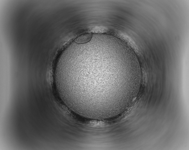 X0000093620354200710221550