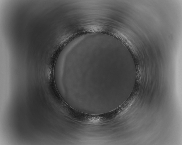 X0000093620355200710221551