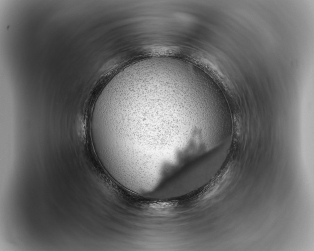 X0000093620357200710221551