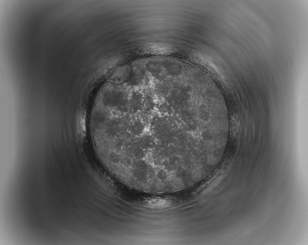 X0000093620358200710221551