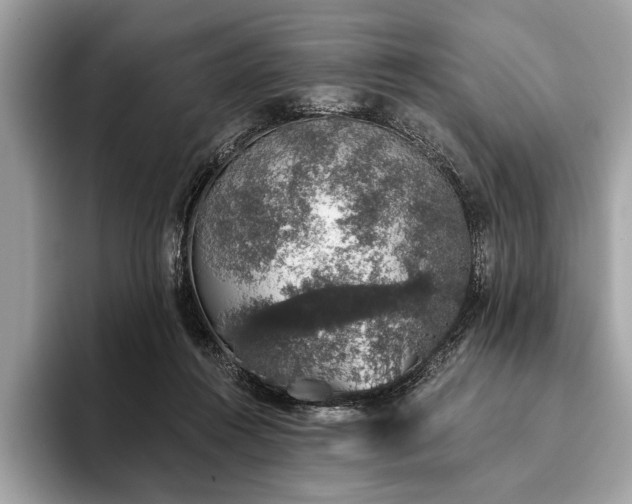 X0000093620360200710221551