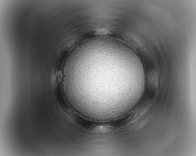 X0000093620364200710221551