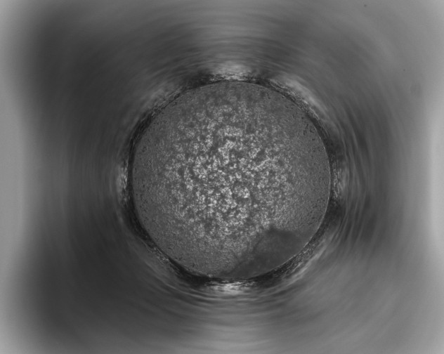 X0000093620365200710221551