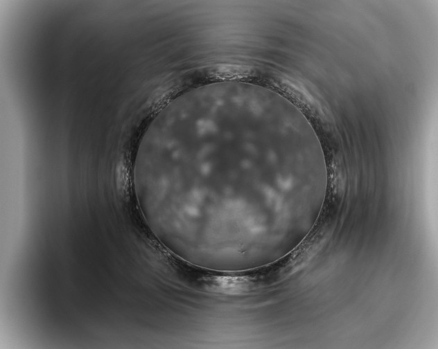 X0000093620371200710221551