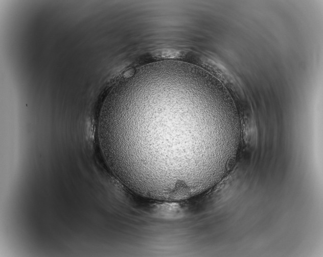 X0000093620374200710221551