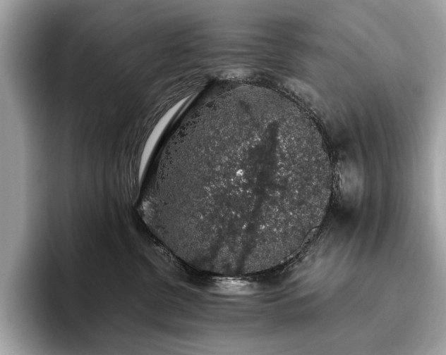 X0000093620380200710221551
