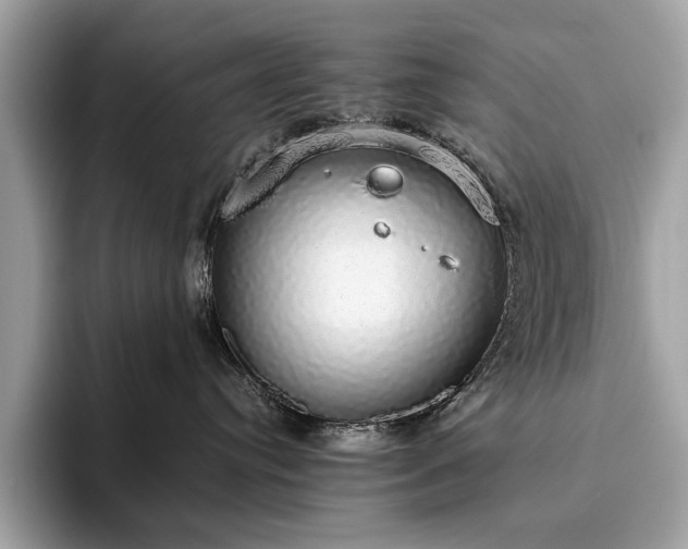 X0000093620384200710221551