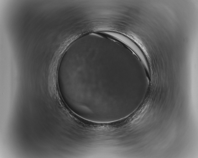 X0000093620385200710221550