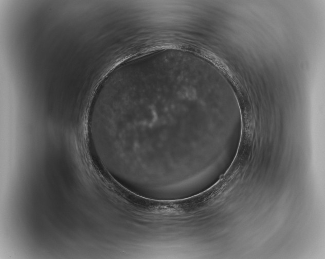 X0000093620386200710221550