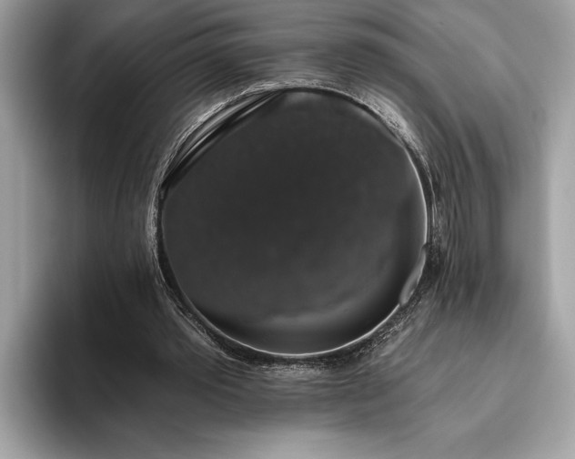 X0000093620389200710221550