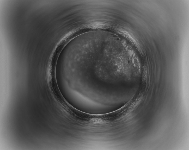 X0000093620392200710221550