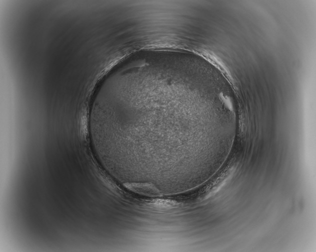 X0000093620393200710221550