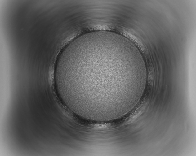 X0000093620394200710221550