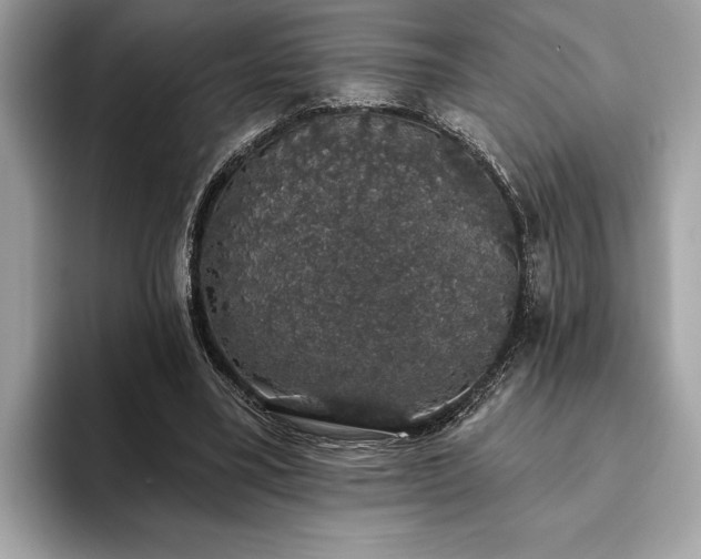 X0000093620395200710221550