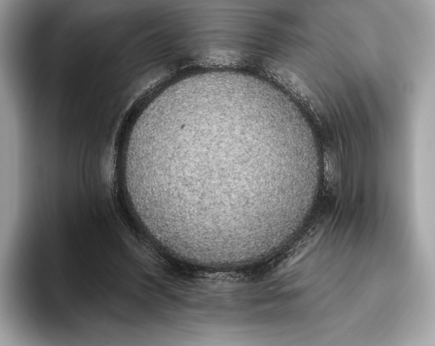 X0000093620396200710221550