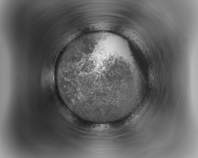 X0000093620398200710221550