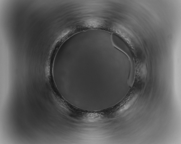 X0000093620399200710221550