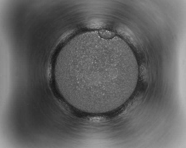 X0000093620400200710221550