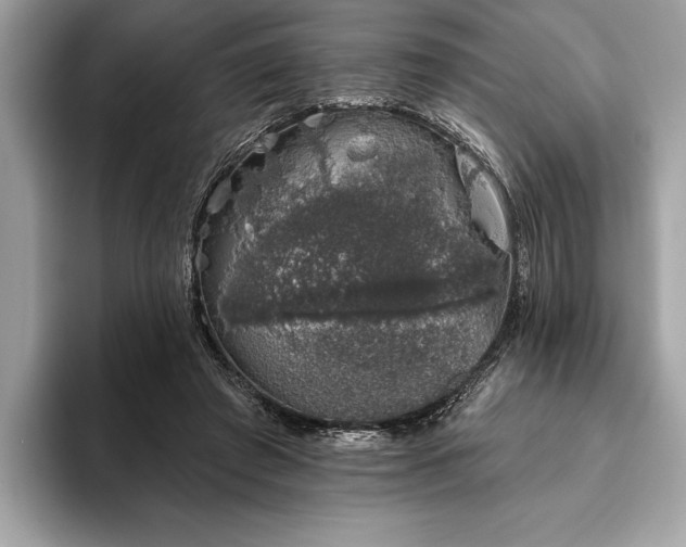 X0000093620401200710221550