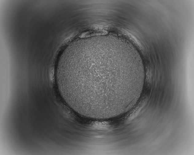 X0000093620403200710221550