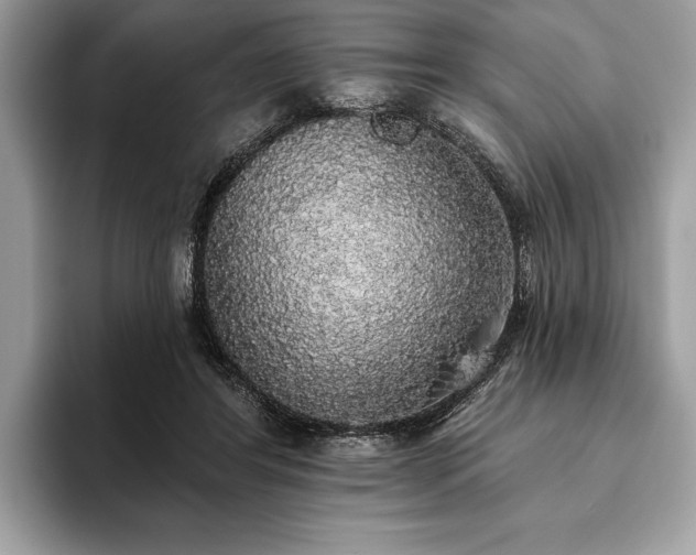 X0000093620404200710221550