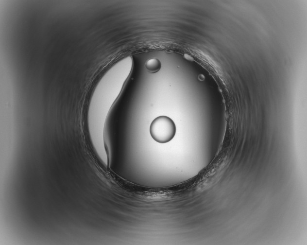 X0000093620405200710221550
