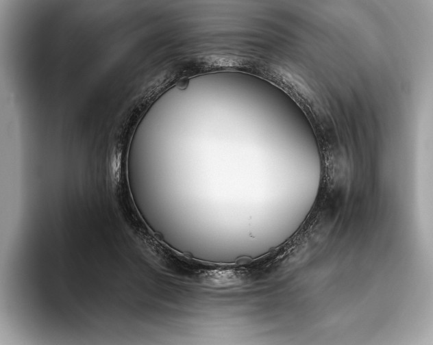 X0000093620406200710221550