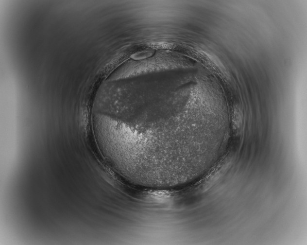 X0000093620409200710221550