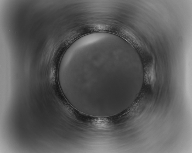 X0000093620410200710221550